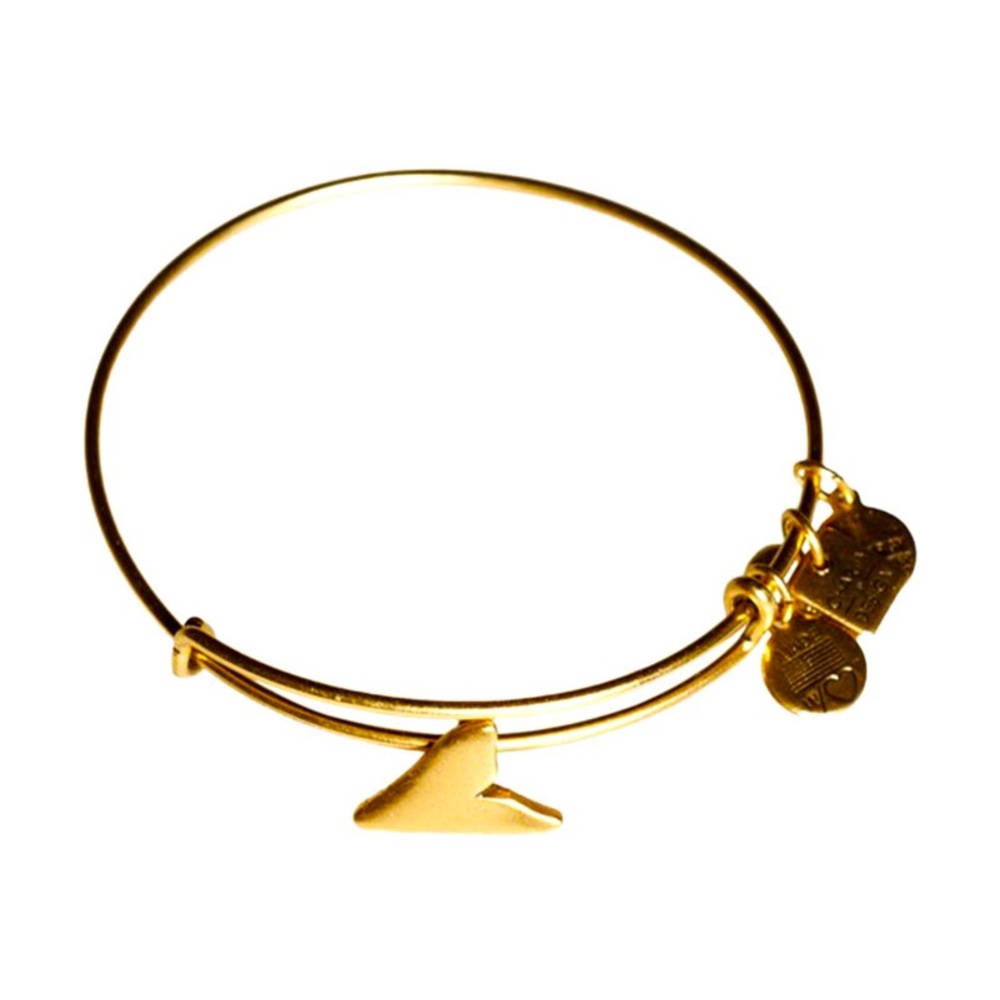 Alex and Ani | Shark Finn Bangle | gold